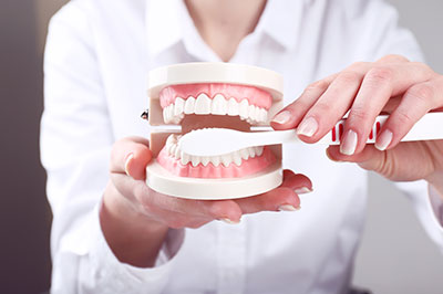 An individual holding a dental model with an open mouth displaying teeth, positioned in front of a blurred background.